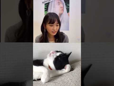 新垣結衣との乱入コラボ Shorts News Wacoca Japan People Life Style 新垣結衣との乱入コラボ Shorts News Wacoca Japan People Life Style