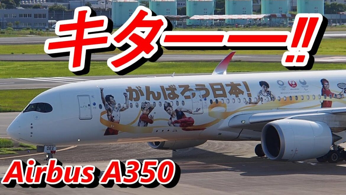 【着陸】超カッコいい！Airbus A350　金の鶴丸「みんなのJAL2020ジェット」　伊丹空港
