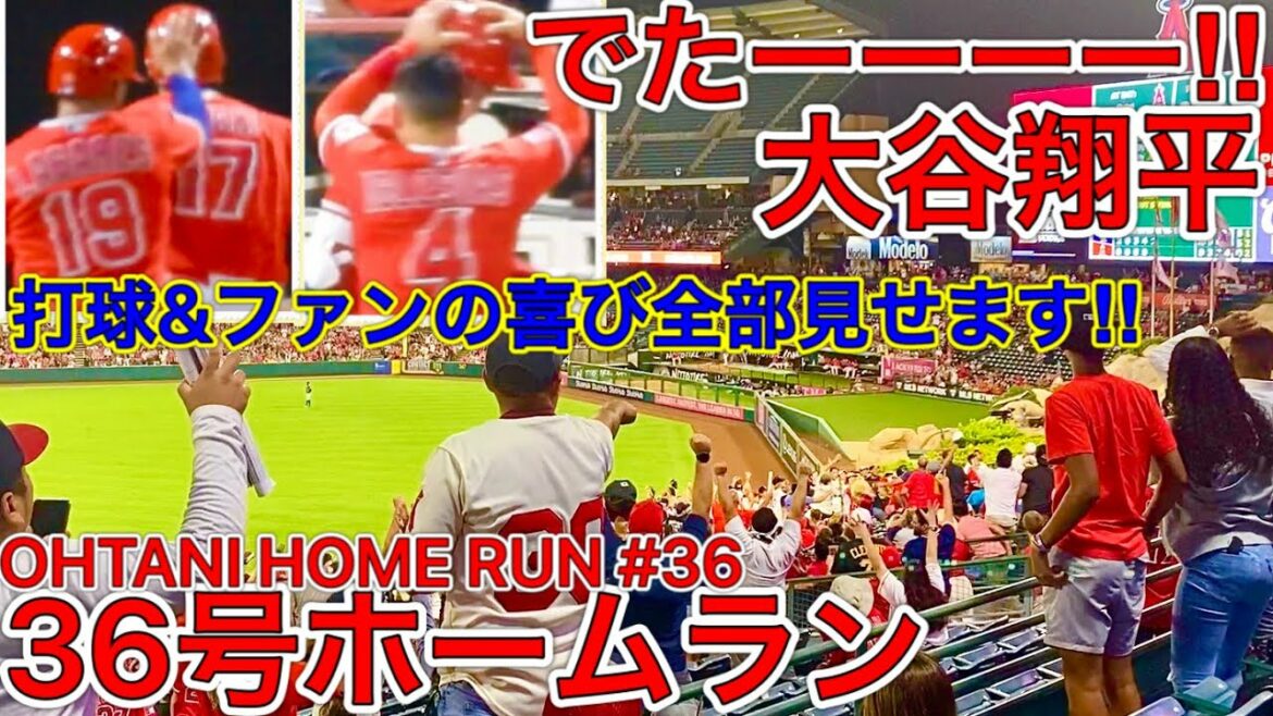 超特大36号2ランホームラン‼【観客総立ち】大谷翔平が放ったホームランにファンが大歓喜!ホームランボールを取った男性よ、おめでとう!SHOHEI OHTANI HOME RUN #36 07.27 超特大36号2ランホームラン‼【観客総立ち】大谷翔平が放ったホームランにファンが大歓喜!ホームランボールを取った男性よ、おめでとう!SHOHEI OHTANI HOME RUN #36 07.27