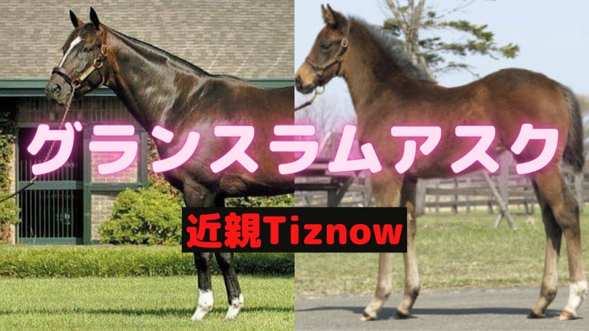 矢作調教師「グランスラムアスクは桜花賞を目標にすべき馬」近親にティズナウがいるディープインパクト牝馬　生産下河辺牧場