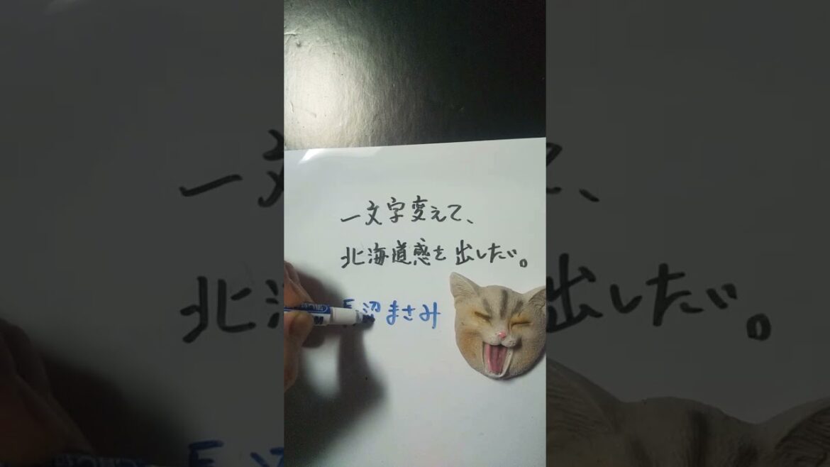 【大喜利】お題・長澤まさみ。一文字変えて、北海道感を出したい。 #shorts #北海道