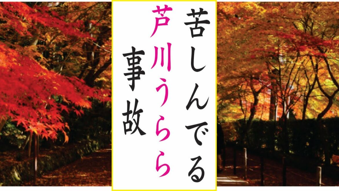 芦川うららの現在！今現在の様子がヤバすぎる・・・