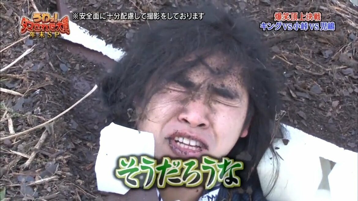 🔸ダマされた大賞🔸ぞうだろうな「内村光良🔶羽鳥慎一」