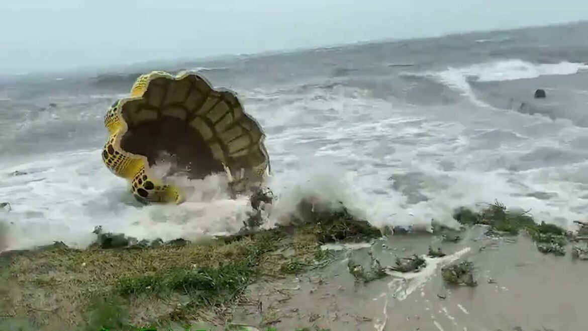 【悲報】直島の「かぼちゃ」台風9号で海に流される 草間彌生さん作 (yayoi kusama) 【悲報】直島の「かぼちゃ」台風9号で海に流される 草間彌生さん作 (yayoi kusama)