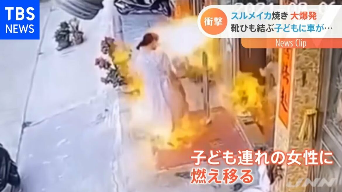スルメイカにアルコールかけて爆発 中国・広東省