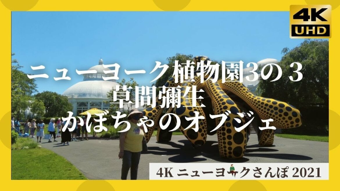 草間彌生のかぼちゃのオブジェ ニューヨーク植物園  ３の３　ニューヨーク 4K NY 2021  New York Botanical Garden