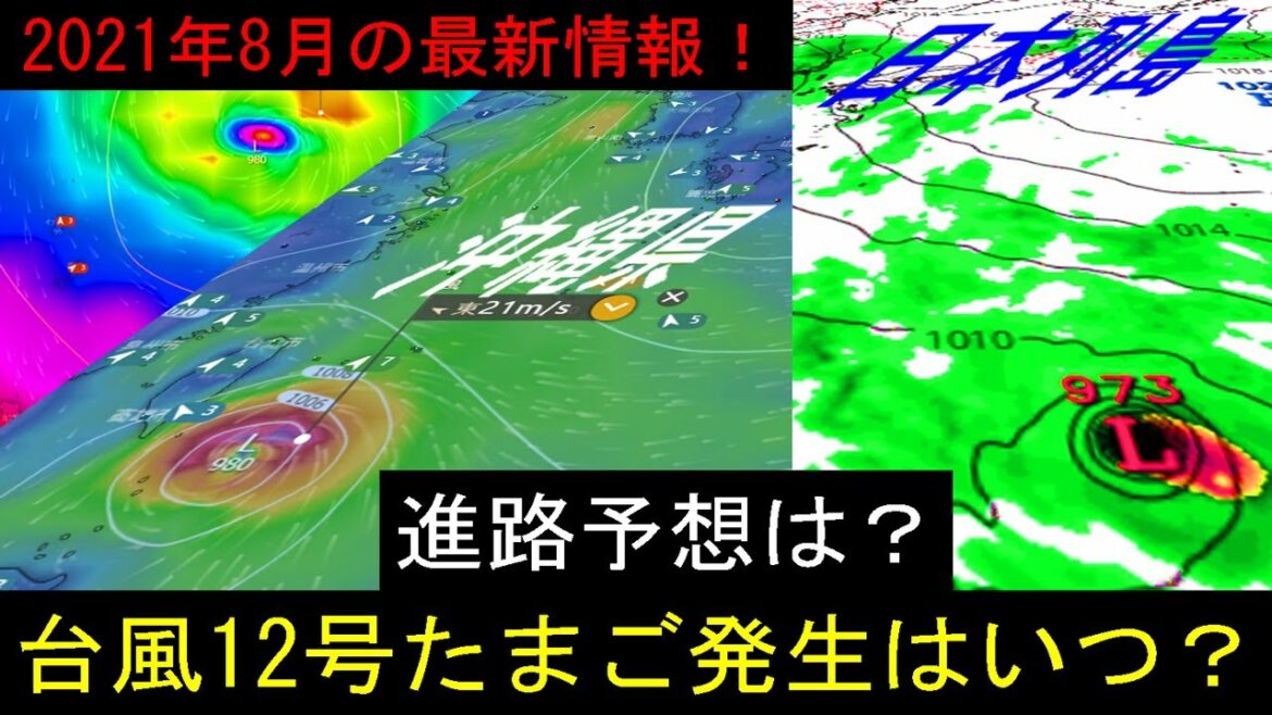台風12号2021年たまご発生はいつ？8月12日の最新情報！