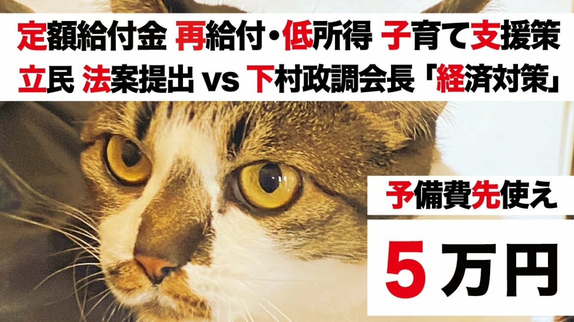 【定額給付金・低所得 子育て世帯に児童1人一律5万円 再給付】立憲民主党 山井議員「再支給法案 提出」VS 自民党 下村政調会長「積極的な経済対策必要」【10万円給付】