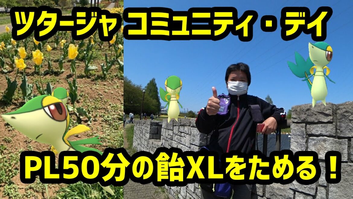 【ポケモンGO】PL50分の飴XLを貯めるぞ！ ツタージャのコミュニティデイ