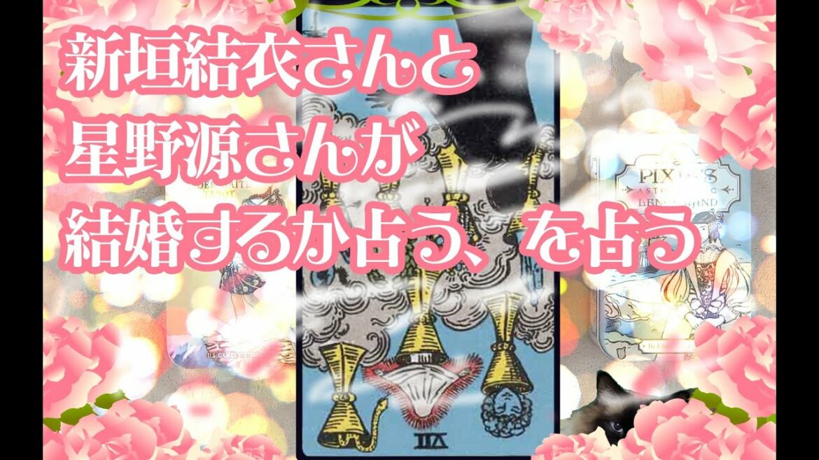新垣結衣さんと星野源さんが結婚するか占う、を占う【2021年8月15日の時点で】【タロットで仲良く】