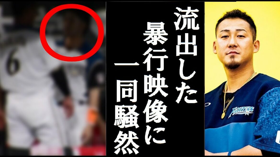 【激震】中田翔の流出した暴行直後の動画や写真などがヤバすぎる　中田翔が出場停止処分になった裏事情がガチでヤバすぎる…