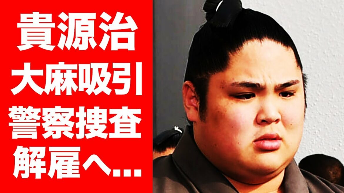 【驚愕】十両貴源治が大麻使用、警視庁が捜査で角界に衝撃が走る...！使用を認め常盤山親方の指示で謹慎中...警察捜査で引退、逮捕もあるか...？