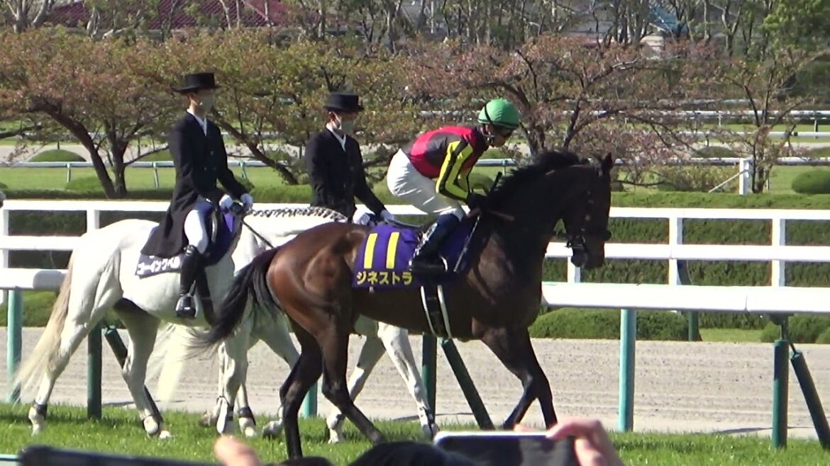 20210411桜花賞本場馬入場(現地映像)　BGM：ザ・チャンピオン
