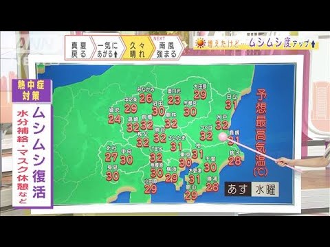 関東の天気 各地で30 超 久々の太陽で洗濯もok 21年8月17日 News Wacoca Japan People Life Style 関東の天気 各地で30 超 久々の太陽で洗濯もok 21年8月17日 News Wacoca Japan People Life Style