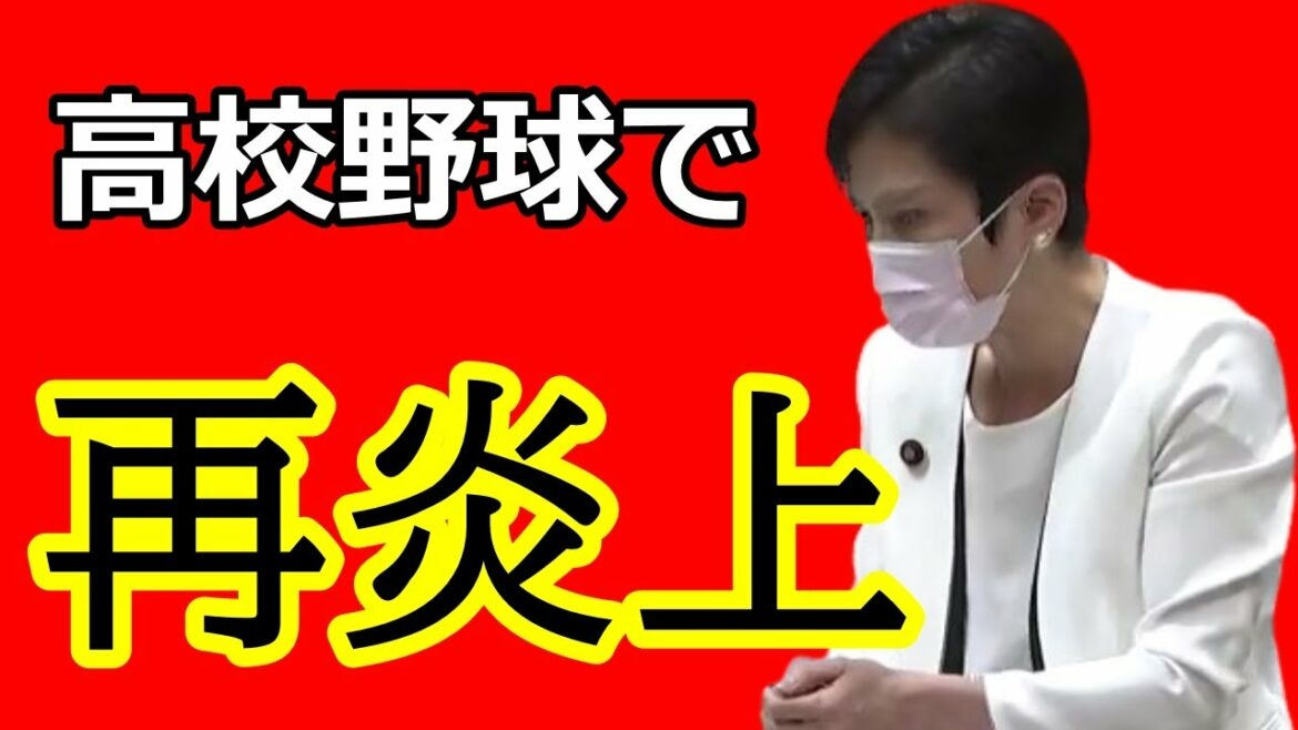 蓮舫、また炎上www 甲子園ネタをツイートした結果→日本国民を激怒させる事態に…。