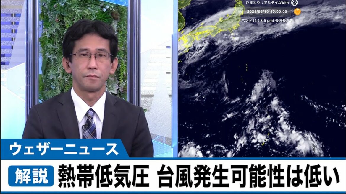 【解説】熱帯低気圧最新情報　24時間以内の台風発生可能性は低くなる