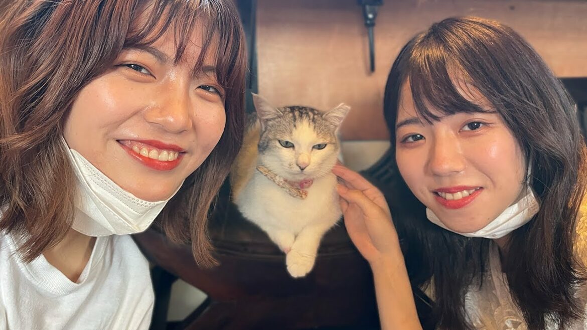 【本物】家に本田翼さんが来て見つめ合ったら失神しました…【ヒカキン×本田翼】（バナモンチャンネルVer.）