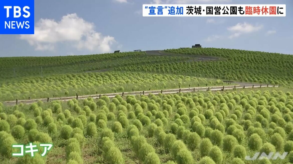 関東３県もきょうから“宣言”対象に・・・例年賑わう公園は閑散