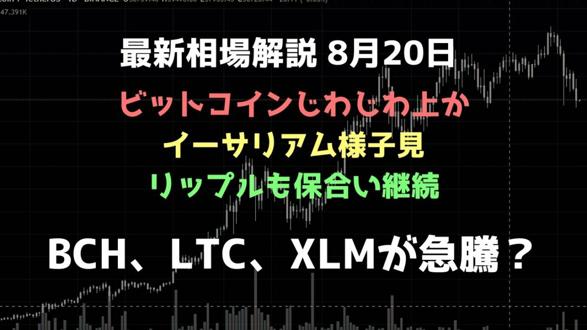 ビットコインキャッシュ、ライトコイン、ステラルーメンを買いました｜ビットコイン、イーサリアム、リップルの値動きを解説