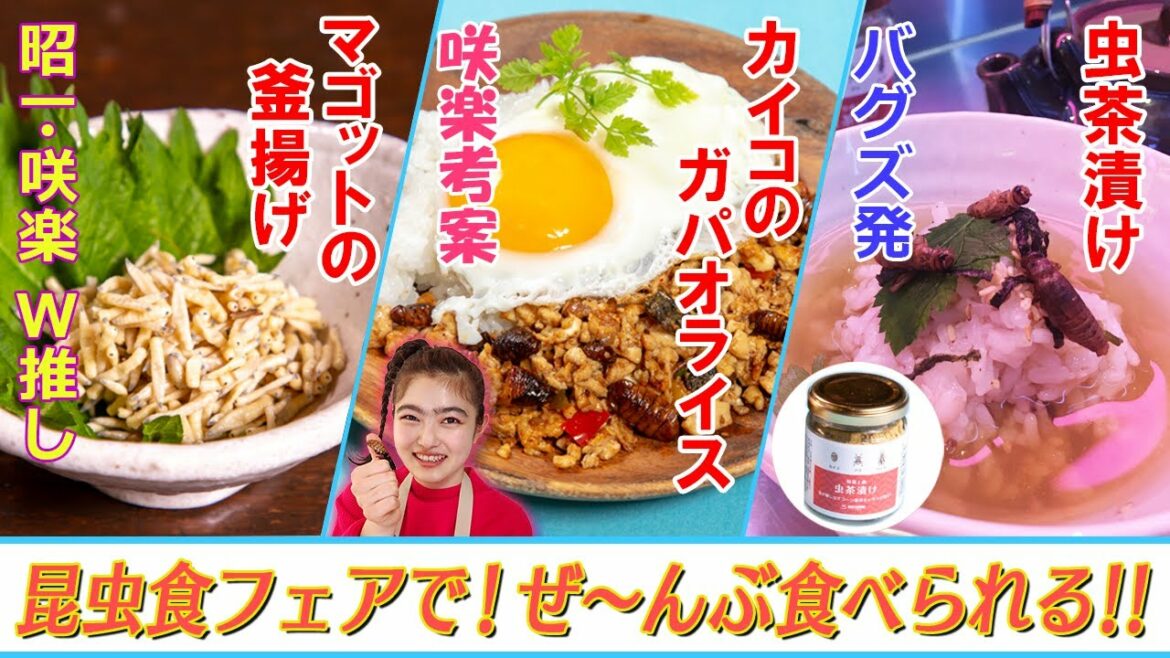 【悶絶解説🤩】やはり主役はマゴット！？しめは虫茶漬け！｜昆虫食｜井上咲楽