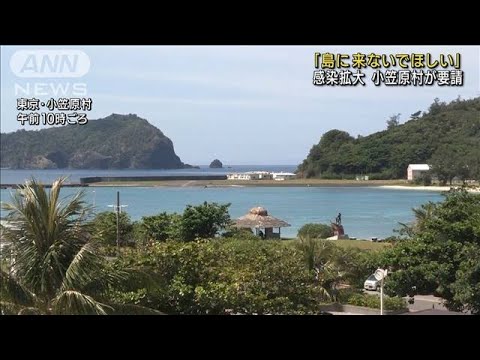 「島に来ないでほしい」小笠原村 感染拡大で要請(2021年8月27日) 「島に来ないでほしい」小笠原村 感染拡大で要請(2021年8月27日)