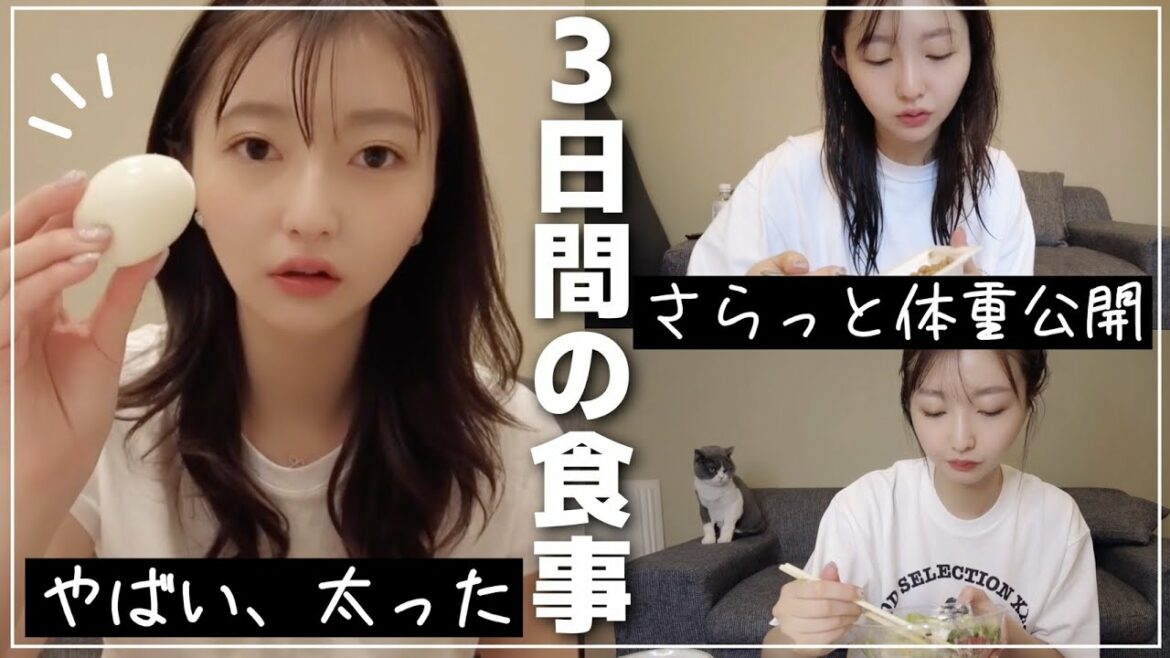 絶対戻す！痩せなきゃいけない時の3日間の食事🍚