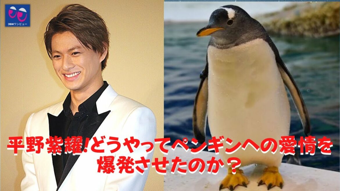 【King＆Prince】【平野紫耀】人生には心が必要です！ 平野紫耀が動物でいっぱいの環境で育ったのはなぜですか？