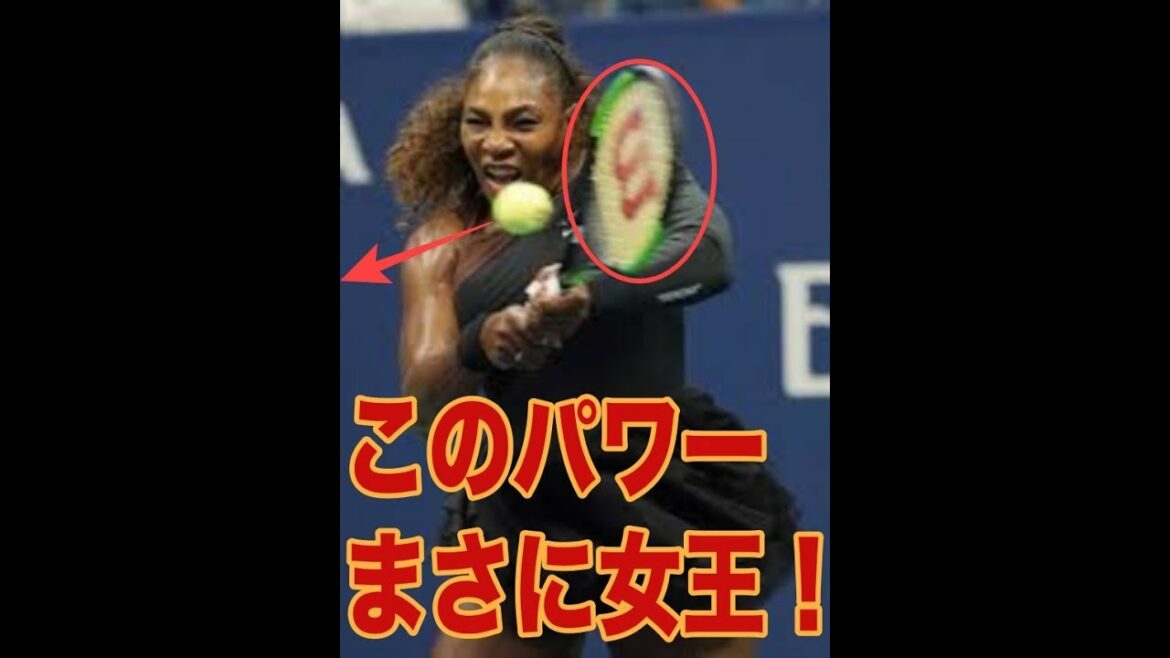 【セリーナ・ウィリアムズ】スマッシュ凄過ぎて相手も諦め!【超絶】Serena Jameka Williams smash! 【セリーナ・ウィリアムズ】スマッシュ凄過ぎて相手も諦め!【超絶】Serena Jameka Williams smash!