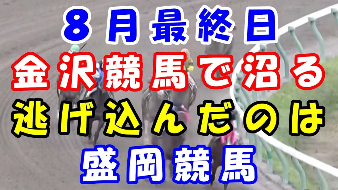【地方競馬】金沢競馬で沼り、盛岡競馬で勝負！楽天競馬争奪戦順位発表！