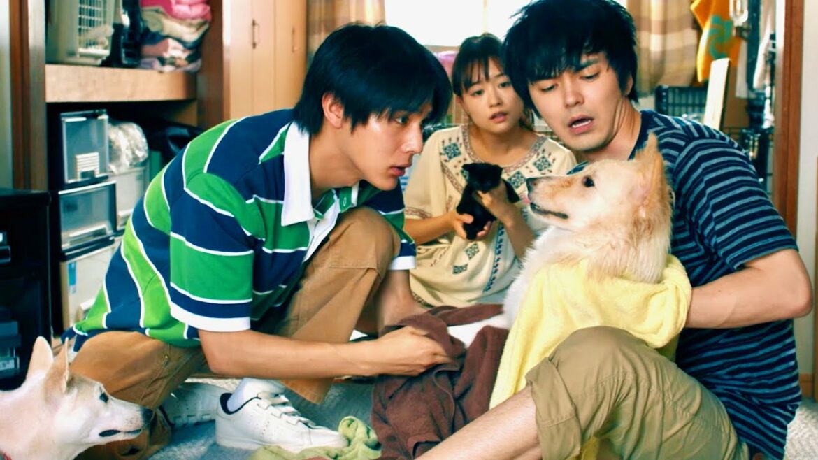 林遣都×中川大志、犬”ラブ”全開！冒頭8分を解禁／映画『犬部！』本編映像