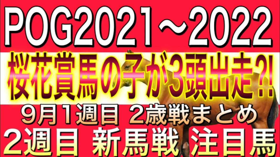 POG 桜花賞馬の子が3頭出走⁈ 9月2週目新馬戦 注目馬の追い切り情報　1週目2歳戦まとめ　POG2021【一口馬主】