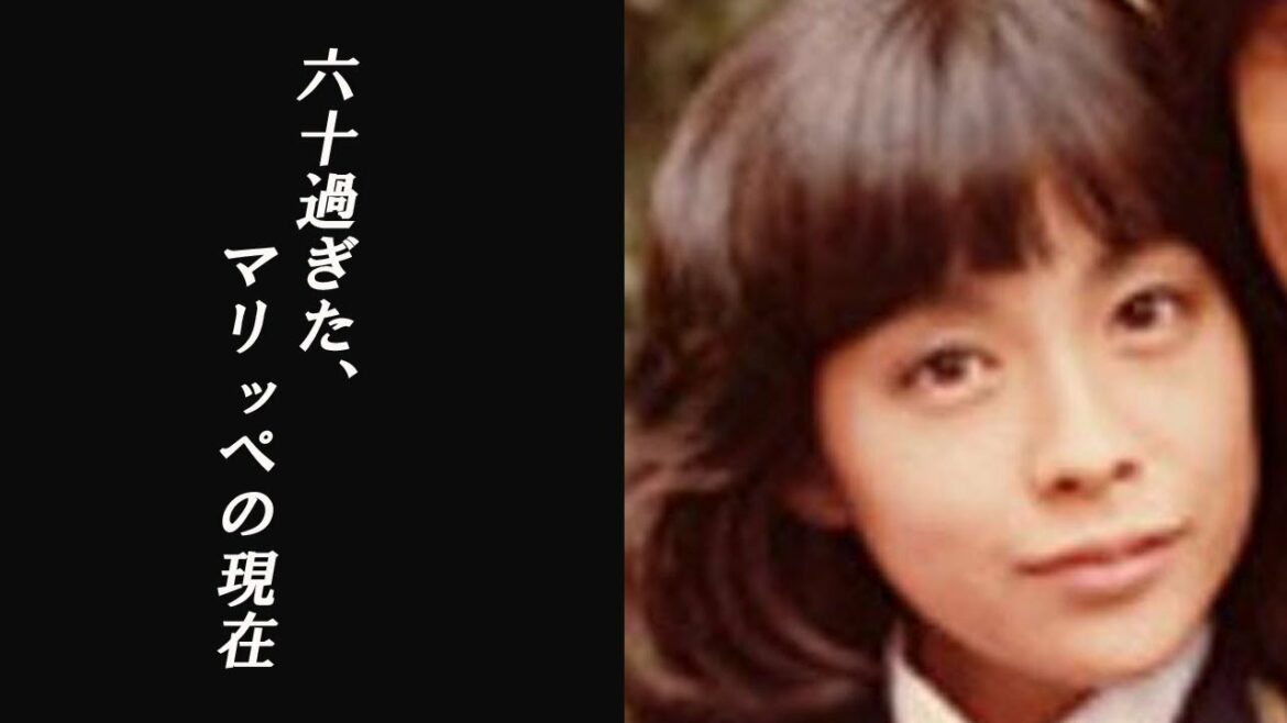 石井めぐみ・62歳!!昭和の美可愛い女優の末路、女優からなんと◯◯家になっていた!! 石井めぐみ・62歳!!昭和の美可愛い女優の末路、女優からなんと◯◯家になっていた!!