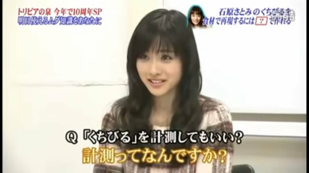 石原さとみのくちびるの感触に近いものを探したい　トリビアの泉