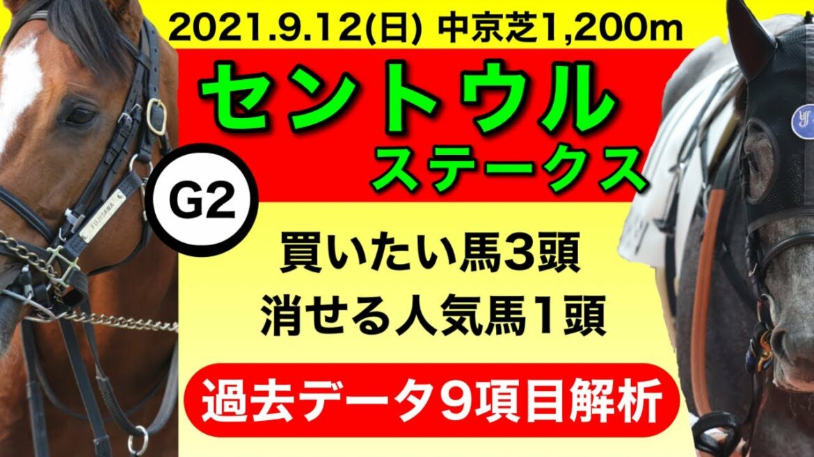 【セントウルステークス2021】過去データ9項目解析!!買いたい馬3頭と消せる人気馬1頭について(競馬予想)