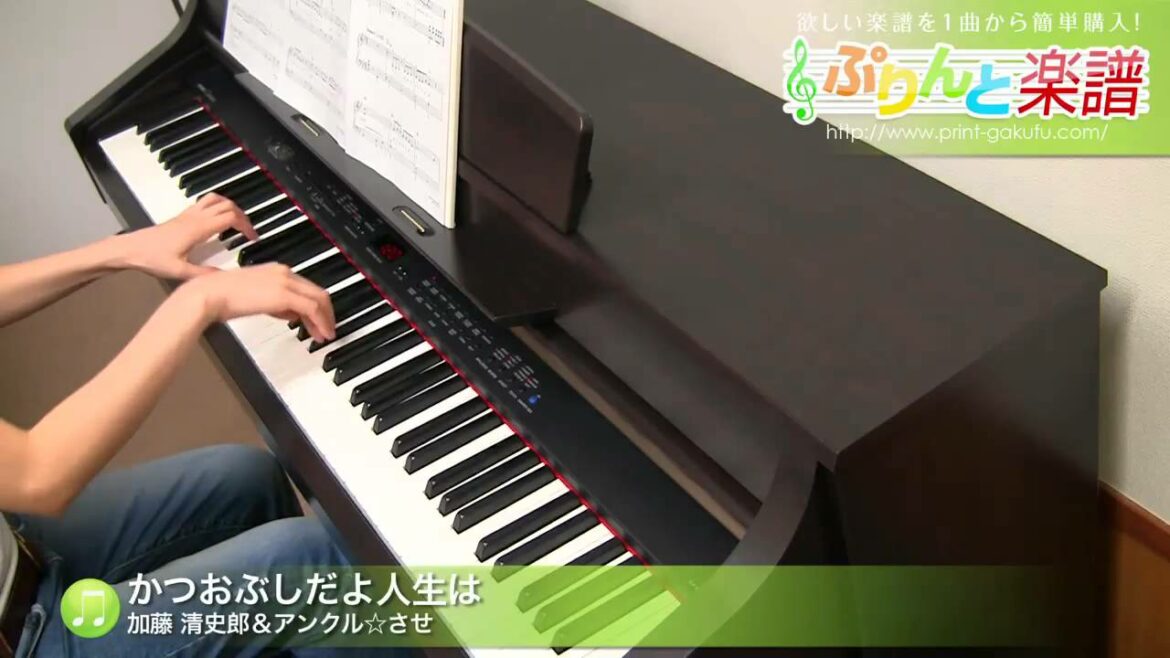 かつおぶしだよ人生は / 加藤 清史郎＆アンクル☆させ / 初級