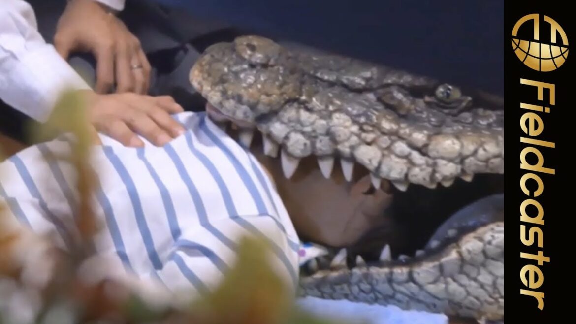 【メイキング】榮倉奈々がワニに咥えられるまで