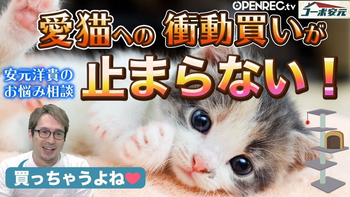 【衝動買いが止まらない!?】愛猫について視聴者と熱く語る「安元洋貴のコーポ安元」