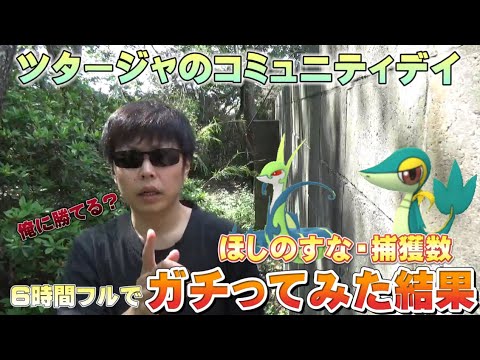 ポケモンgo 俺に勝てる ツタージャのコミュニティデイ ほしのすな 捕獲数で俺に勝てたやつ優勝な くさへびポケモン ジャローダ 個体値100 天候ブースト 星の砂 News Wacoca Japan People Life Style