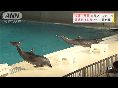 閉園間近の水族館 長年支えたスタッフとイルカたち(2021年9月25日) 閉園間近の水族館 長年支えたスタッフとイルカたち(2021年9月25日)