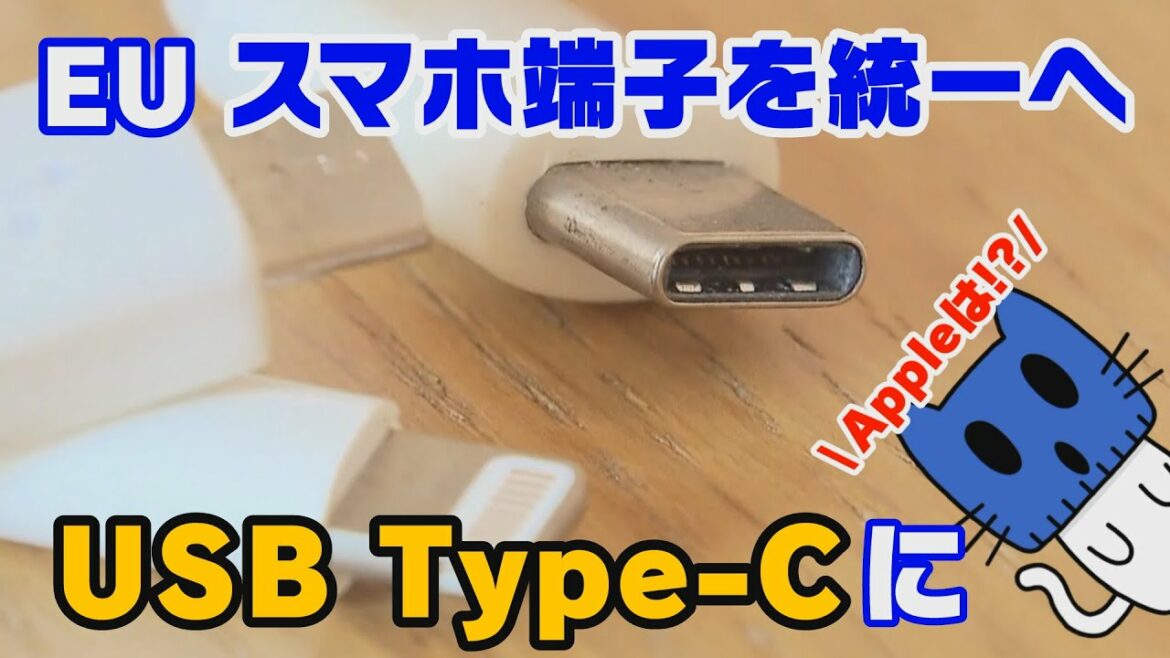 EU スマホ端子を「USB type-C」に統一へ。iPhoneはどうなる！？【マスクにゃんニュース】