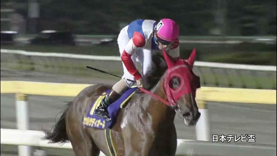 日本テレビ盃 2021 結果【競馬】