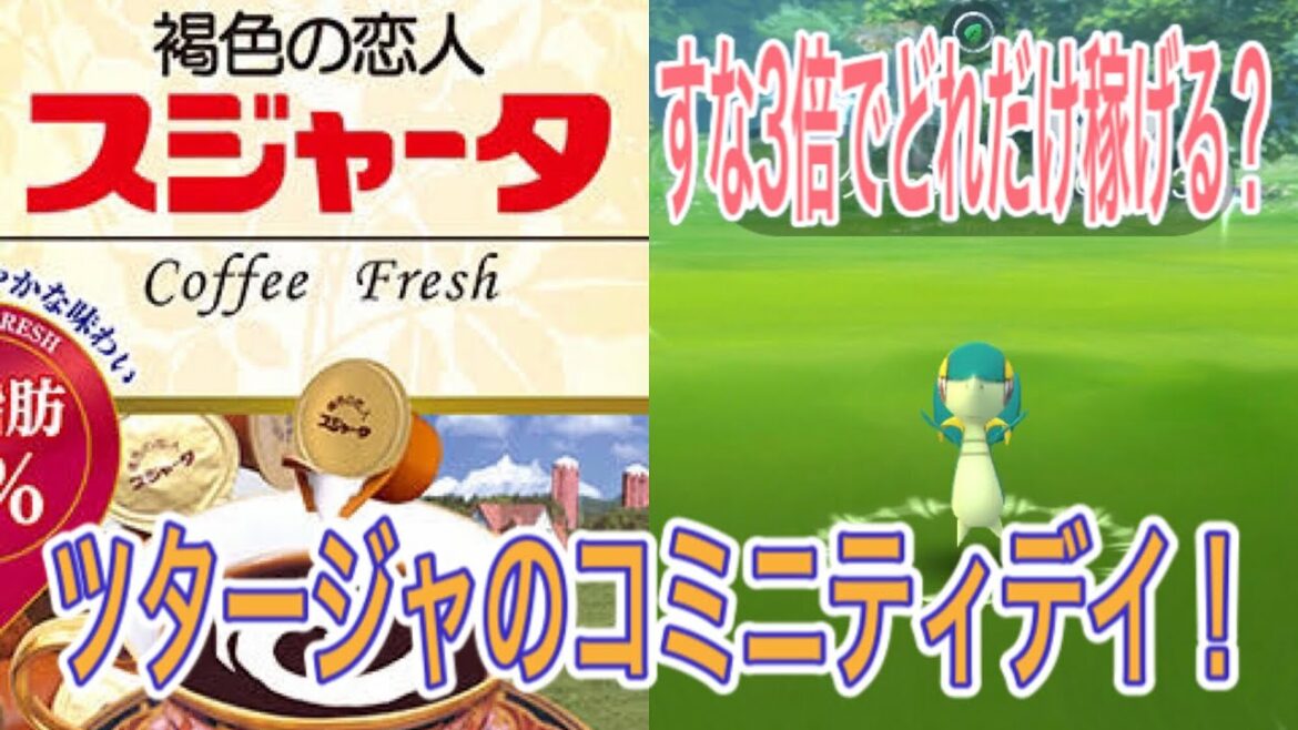 【ポケモンGO】ほしのすな3倍！ツタージャのコミニティデイ！【Pokémon GO】