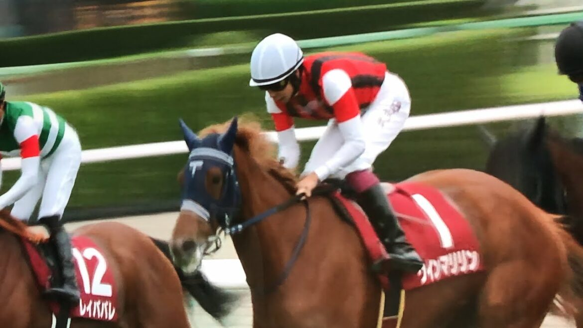 オールカマー 2021/9/26 レース映像 レース結果 競馬 産経賞