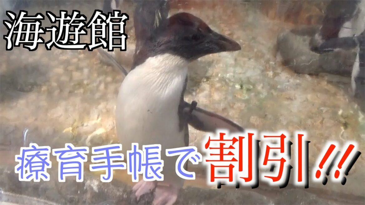 [発達障害][双子]おでかけ！海遊館のちホルモン。