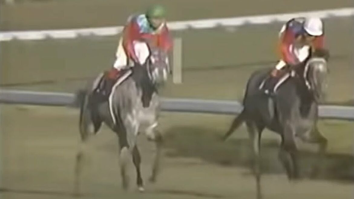 芦毛対決！　風か光か　タマモクロス VS オグリキャップ　’88天皇賞・秋（ＧＩ）