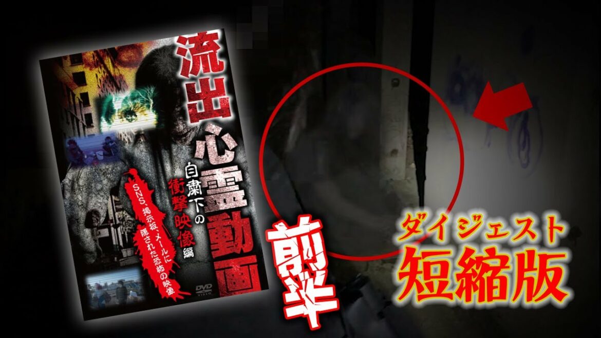 【ダイジェスト短縮版】流出心霊動画　自粛下の衝撃映像編（前半）