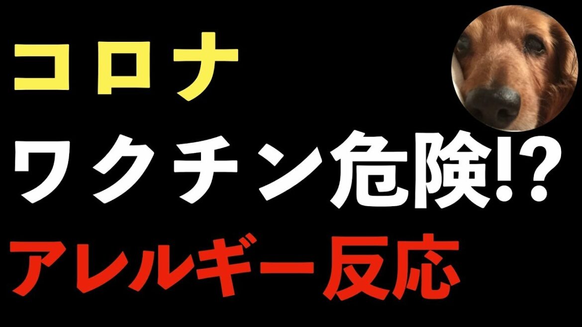新型コロナウイルスのワクチンでアレルギー反応！ワクチンは大丈夫なのか？医師は不安！