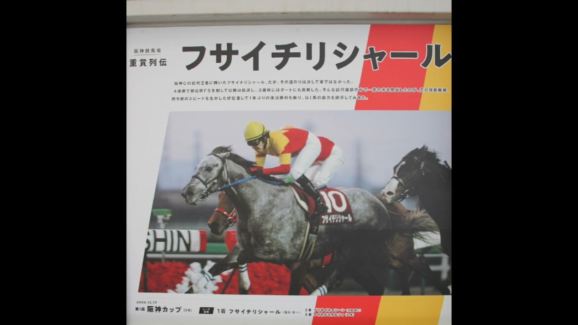 【阪神競馬場・重賞列伝②】ブエナビスタ、ダイワスカーレット、ウォッカなど10頭(説明有り) #shorts