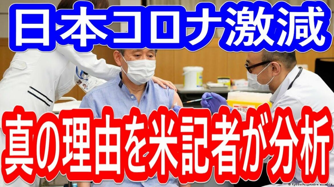 【真実】コロナ感染者数 激減‼真の理由を分析する！