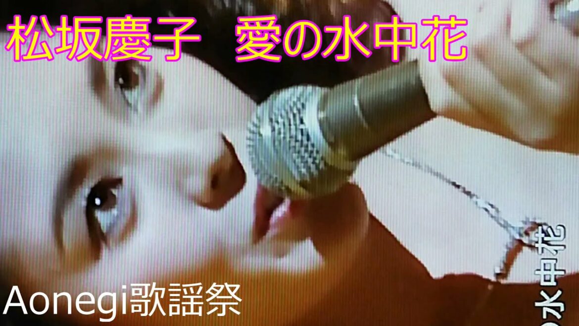 松坂慶子【愛の水中花】青ネギ歌謡祭、広末涼子真剣(まじ)で恋する5秒前、永作博美木綿のハンカチーフ